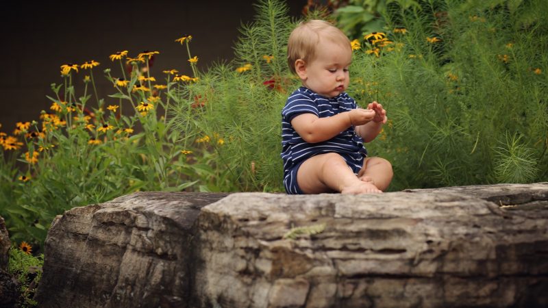 Aménager son jardin pour en profiter l’été, comment y parvenir ?