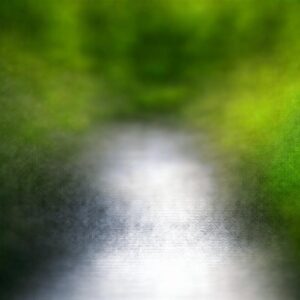 Pervenches en jardin : astuces pour un aménagement paysager charmant et sans entretien